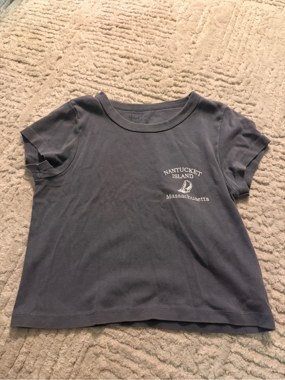 Brandy Melville Nantucket Island Crop Tee - Slate Blue